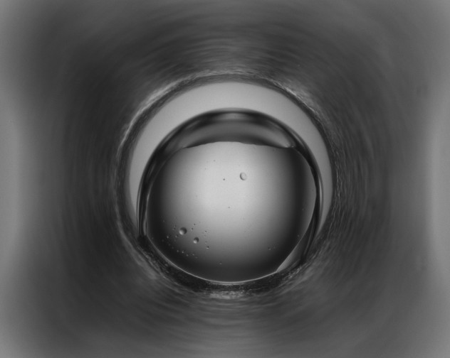 X0000086990440200704161509
