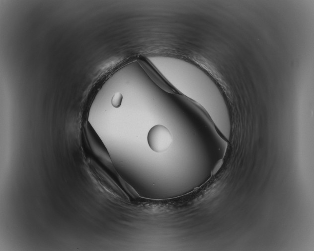 X0000086990442200704161509