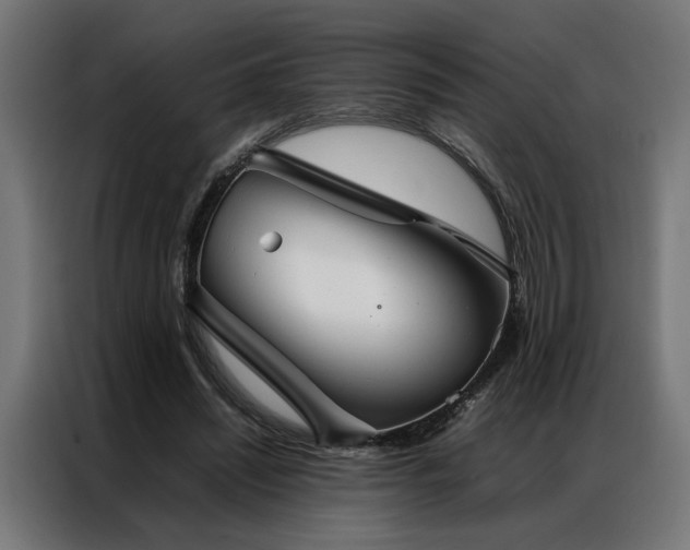 X0000086990444200704161509
