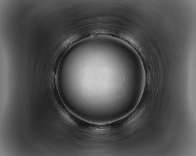 X0000086990445200704161509