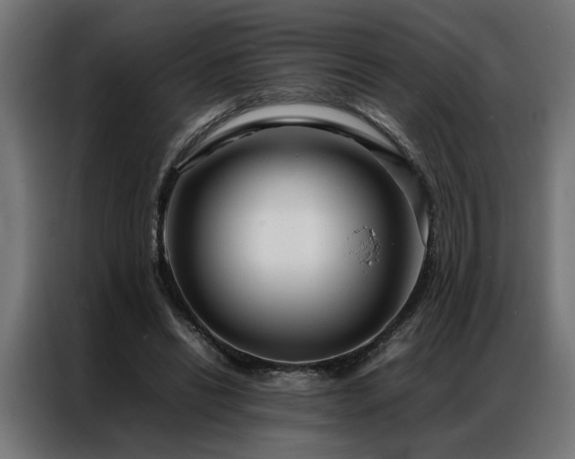 X0000086990446200704161509
