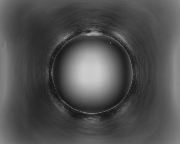 X0000086990447200704161509