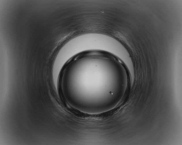 X0000086990448200704161509