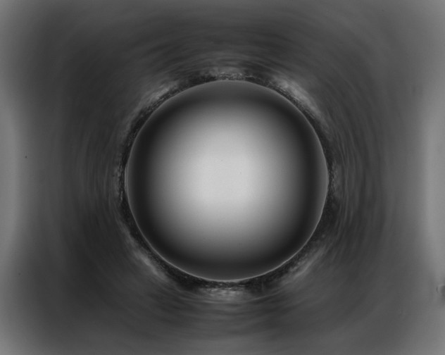 X0000086990449200704161509