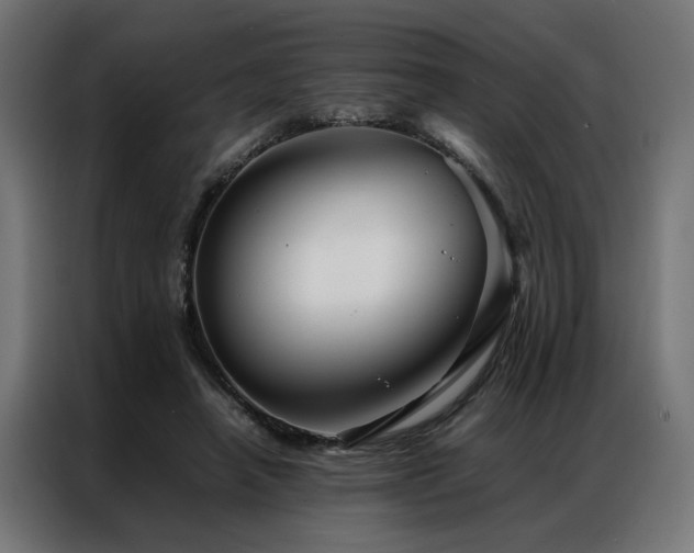 X0000086990450200704161509