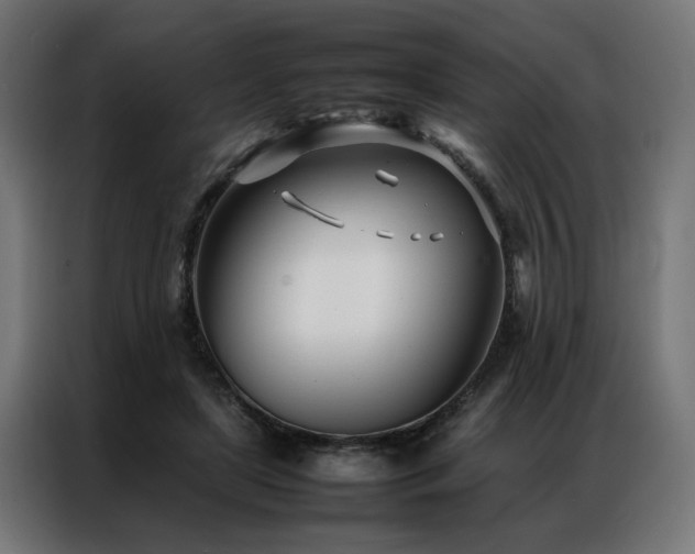 X0000086990451200704161509