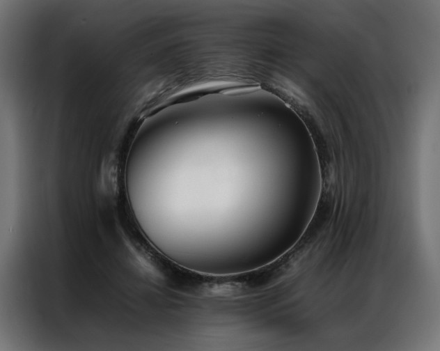 X0000086990452200704161509
