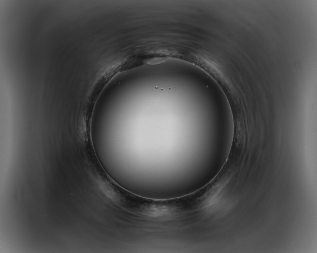 X0000086990453200704161509