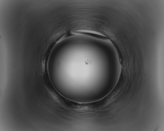 X0000086990454200704161509