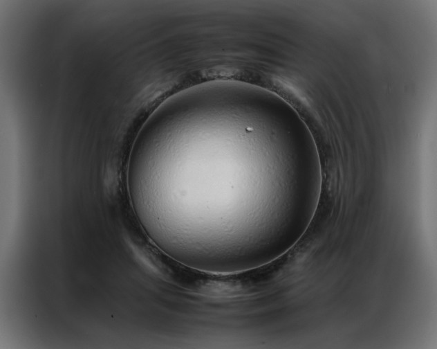 X0000086990455200704161509