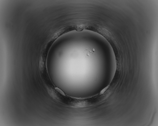 X0000086990456200704161509