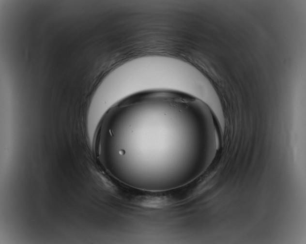 X0000086990458200704161509
