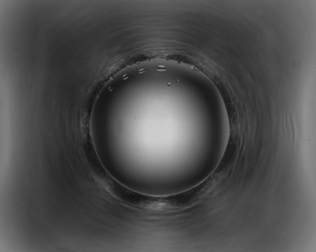 X0000086990460200704161509