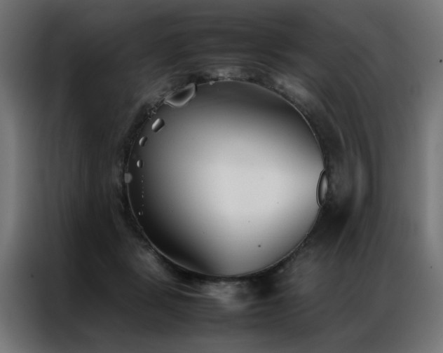 X0000086990461200704161509