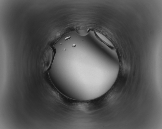X0000086990462200704161509