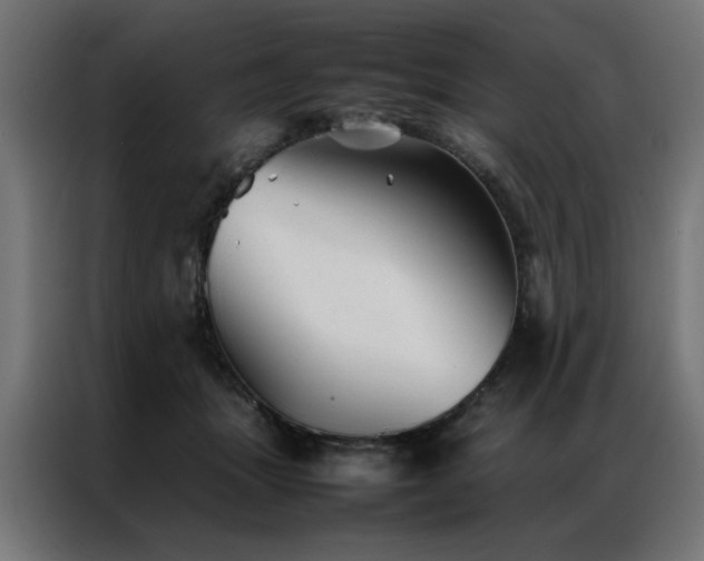 X0000086990463200704161509