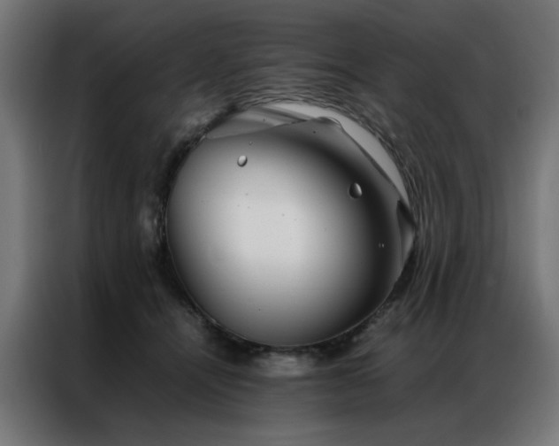 X0000086990464200704161509