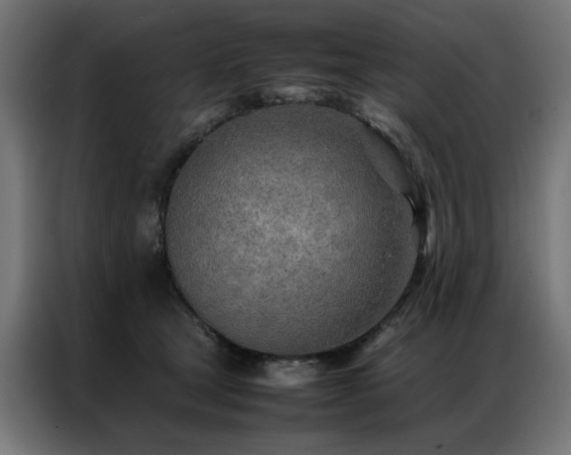 X0000086990465200704161509