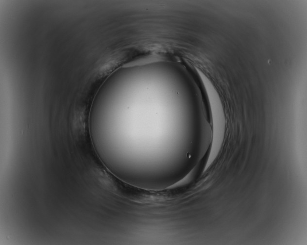 X0000086990466200704161509