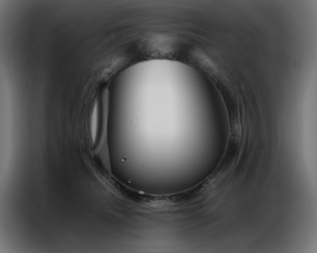 X0000086990468200704161509