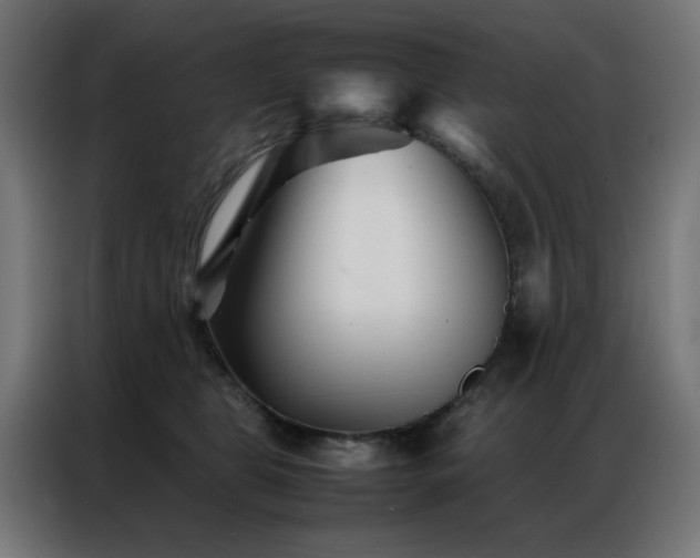 X0000086990469200704161509