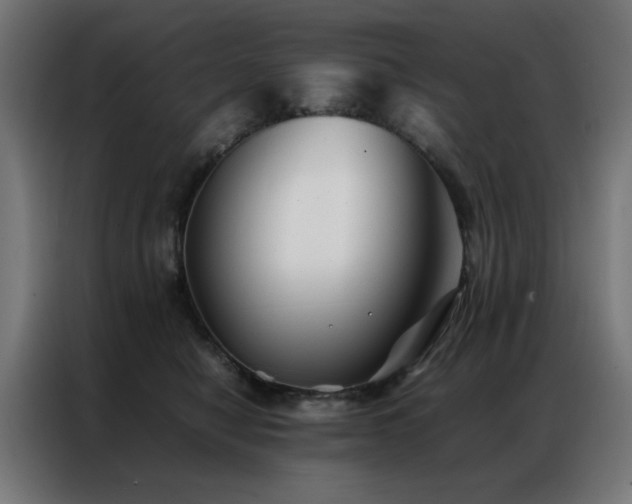 X0000086990470200704161509
