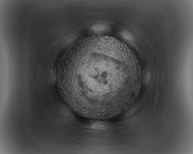 X0000086990471200704161509