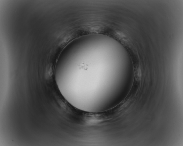 X0000086990472200704161509