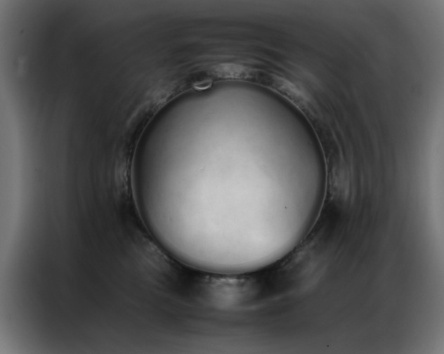 X0000086990473200704161509