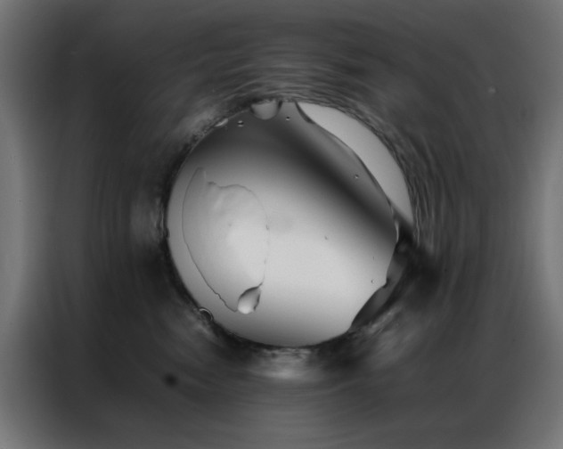 X0000086990474200704161509