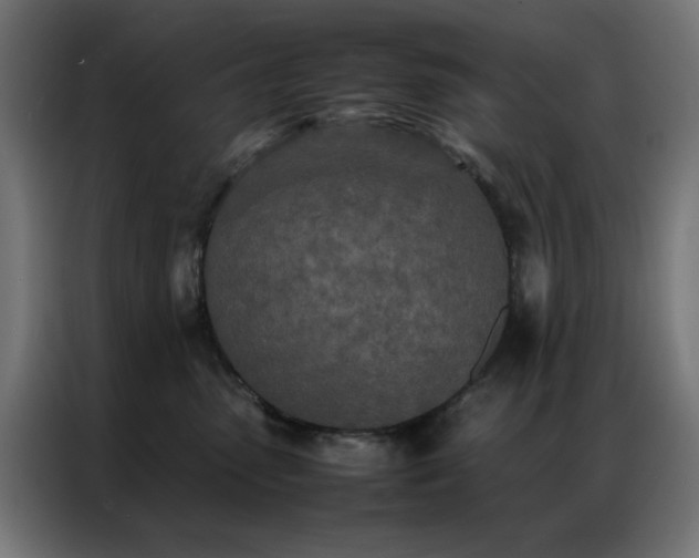 X0000086990475200704161509