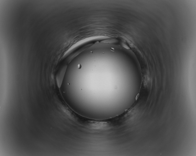 X0000086990476200704161509