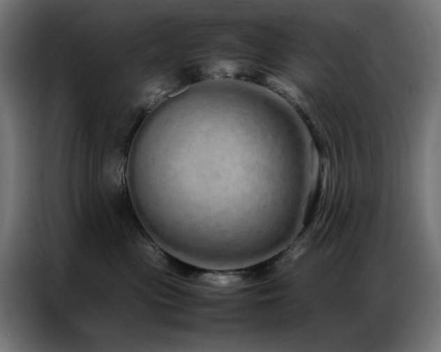 X0000086990477200704161509