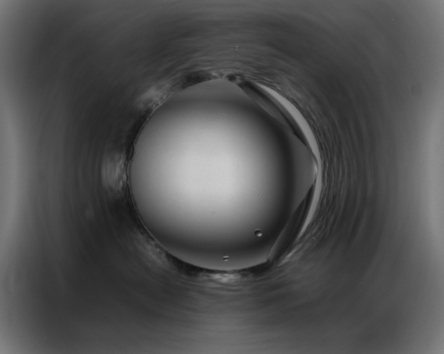 X0000086990478200704161509
