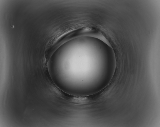 X0000086990480200704161509