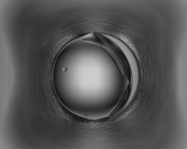 X0000086990481200704161509