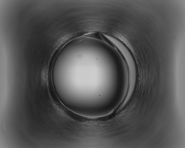 X0000086990482200704161509