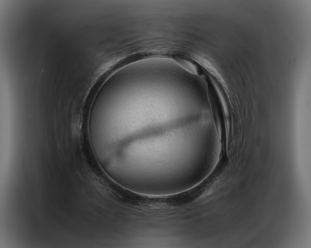 X0000086990483200704161509