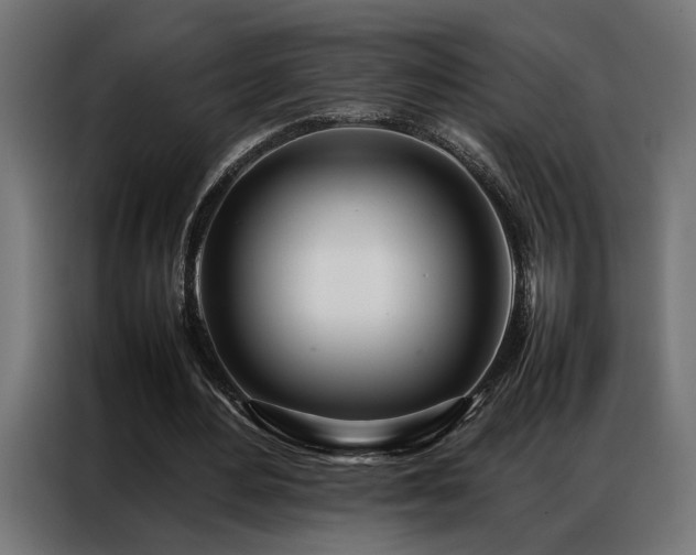 X0000086990484200704161508