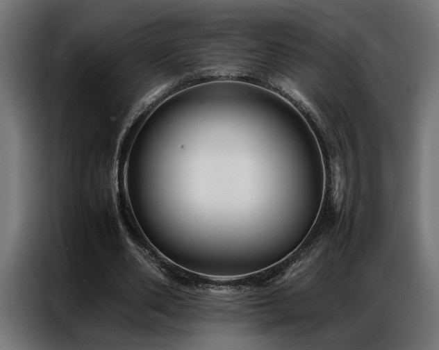 X0000086990486200704161508