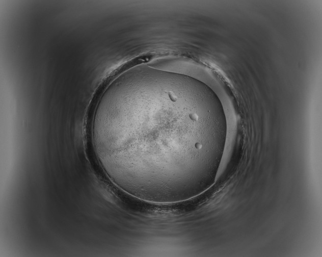 X0000086990487200704161508