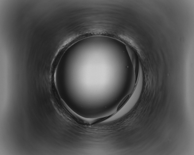 X0000086990488200704161508