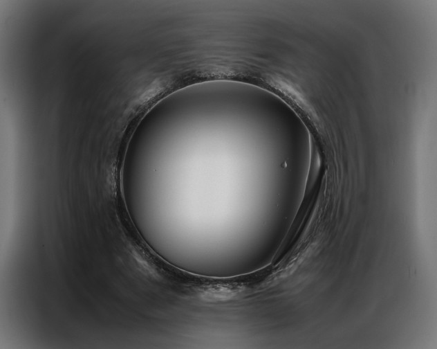 X0000086990489200704161508
