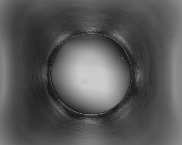 X0000086990490200704161508