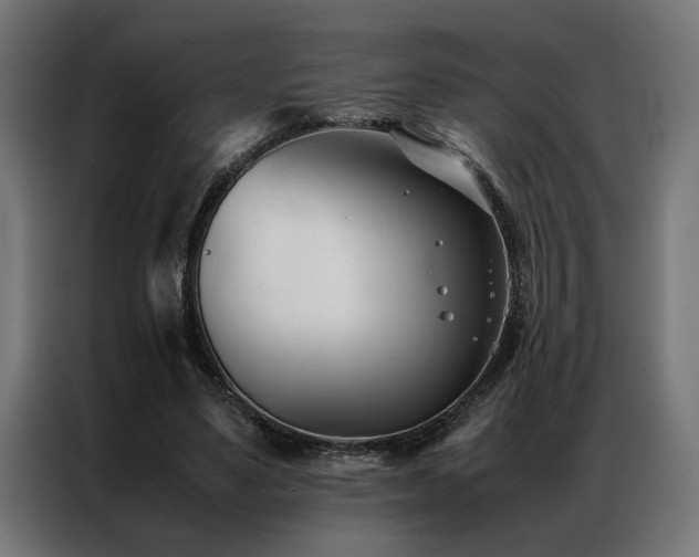 X0000086990491200704161508