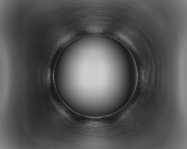 X0000086990494200704161508