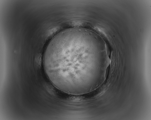 X0000086990495200704161508
