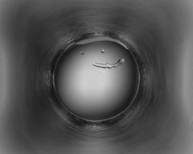 X0000086990498200704161508