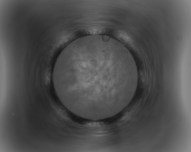 X0000086990499200704161508