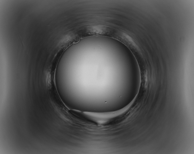 X0000086990500200704161508